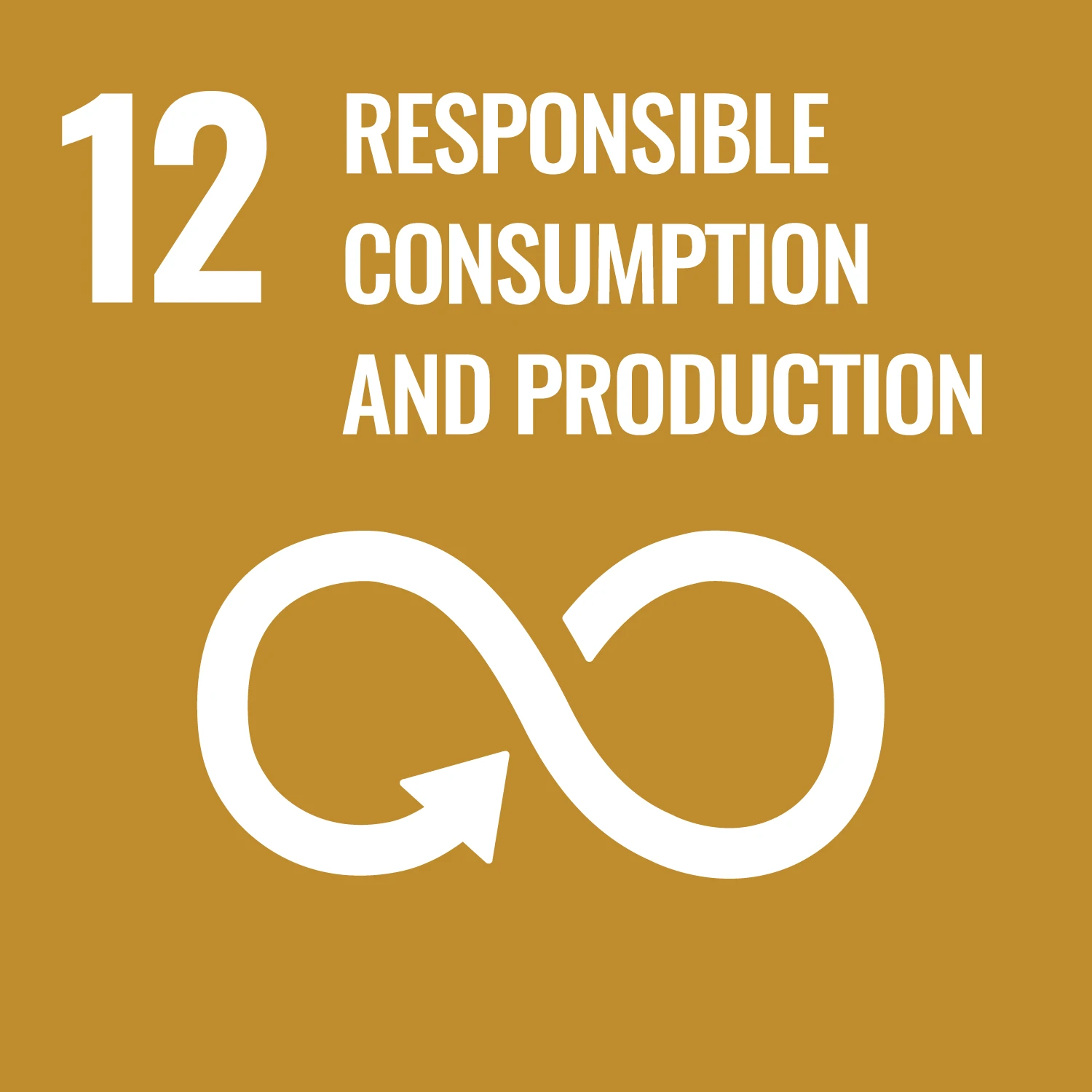 SDG 12 – Responsible Consumption